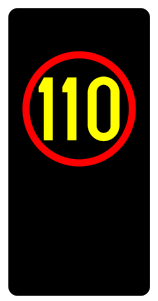 IVMS4(RSS) · Snelheidsaanduiding 110 · Formaat 30